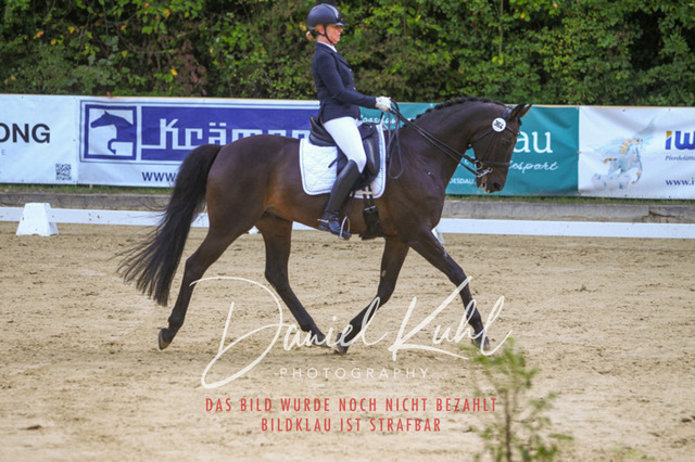 DKP41502 | Turniersportfotografie; Pferdefotografie; Dressurfotografie