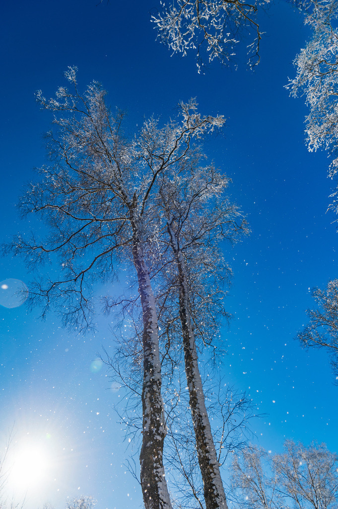2023_03_11_MCP7363 | Hochwertig gedruckte Fotografien für die Wand, als Kalender und zum Verschenken. Hamburg & Norddeutschland und überall wo ich mit der Kamera unterwegs war.