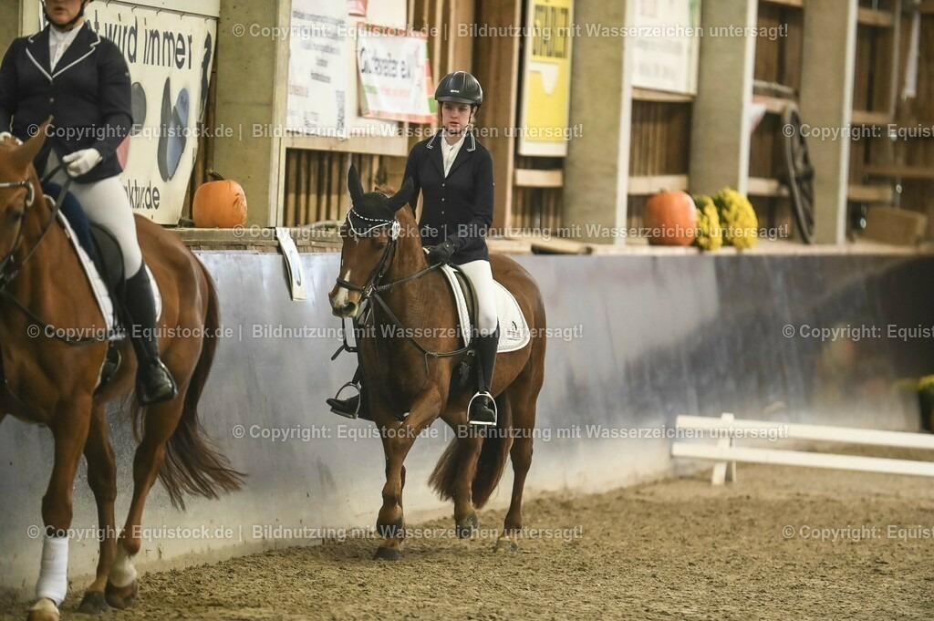 20231029_02_Reiter-WB_Schritt-Trab-Galopp_Abteilung-01_0009 | Foto: Thomas Hartig