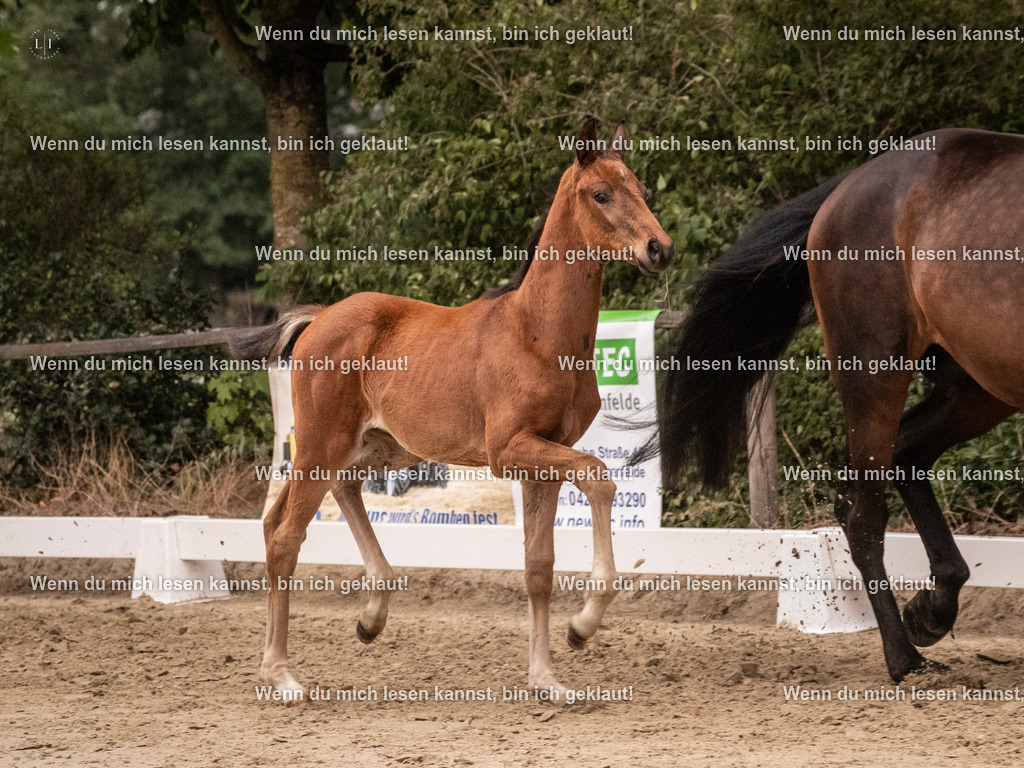 A10I6503 | photographylinaismer - Realisiert mit Pictrs.com