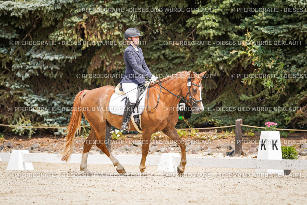 DSC03332 | Pferdegrafie