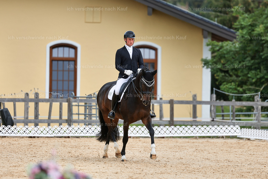 3-213-Dressur M_-StoibPH-2490 | working equitationturnier fotograf videograf stoibphotography marixx film working equitation deutschland reitsport turnierfotografie eventfotografie equestrian events