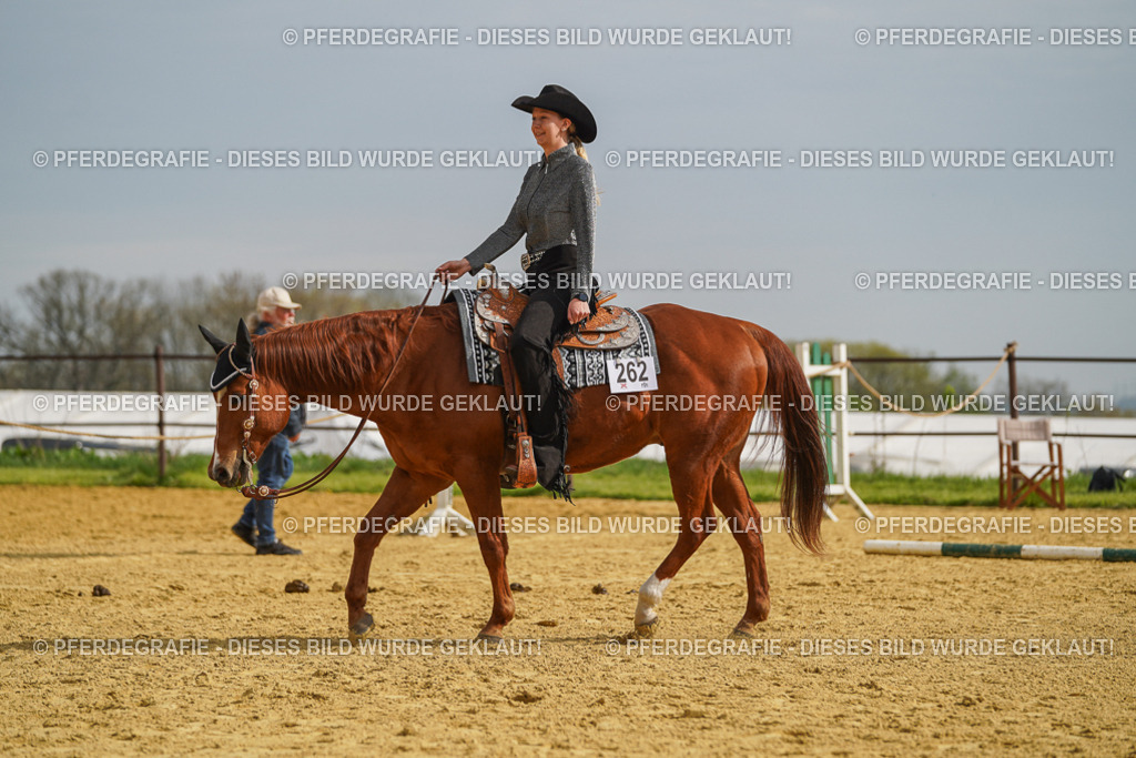 DSC01988 | Pferdegrafie