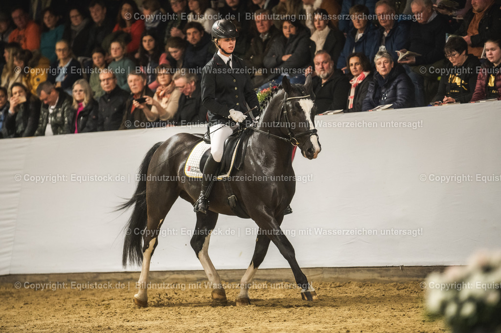 20240302_Hengstvorstellung_Marbach_TOMsPiC_0676 | equistock