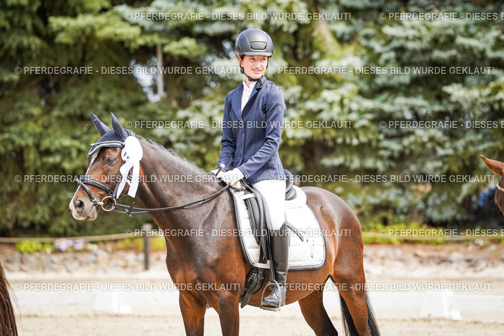 DSC02643 | Pferdegrafie