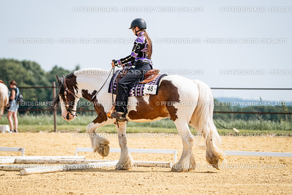 DSC00044 | Pferdegrafie