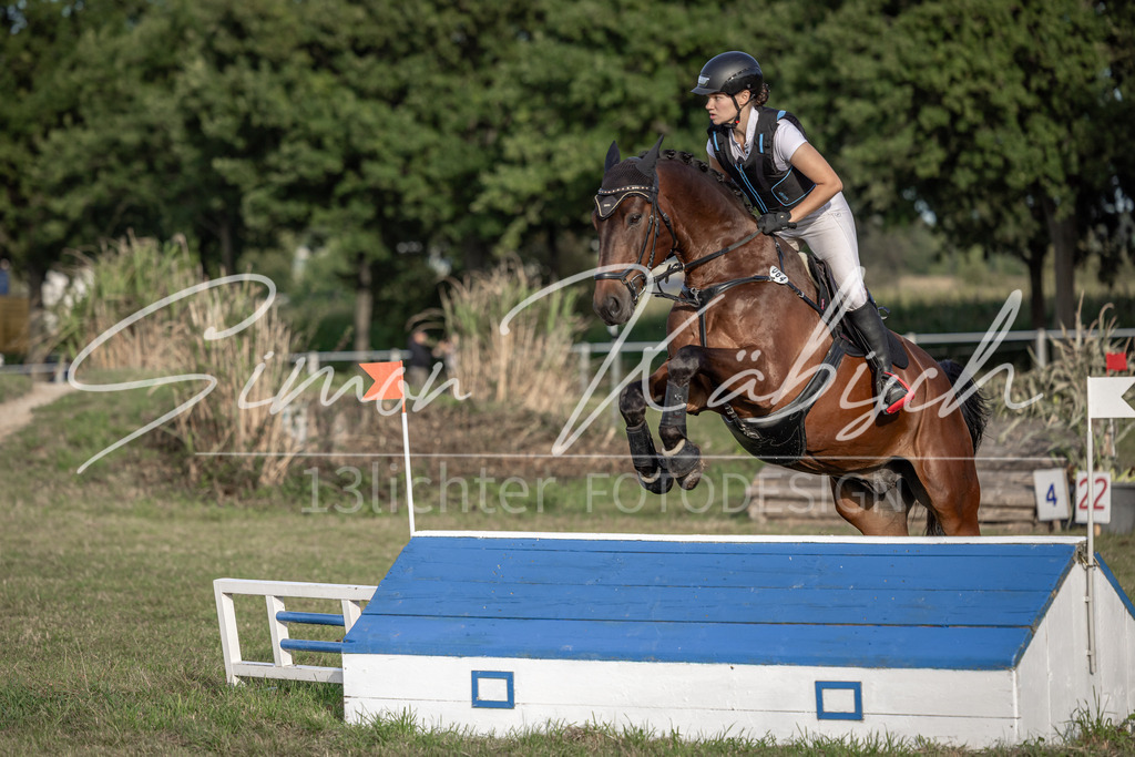 20250907-_3LI8463 | Tierfotografie Pferde, Hunde, Katzen, Haustiere.
Turnierfotografie Reitturniere, Reiten, Springreiten, Dressur in Hanau, dem Main-Kinzig-Kreis und dem Rhein-Main- Gebiet um Frankfurt