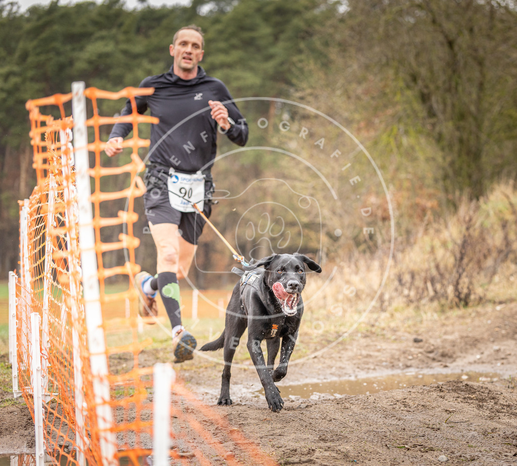 DV3A0409 | Hundefotografie, Tierfotograf, Pfotenfotografie, Fotoshooting Hund, Hunde Portrait, Hundesport, Hundeportraits, Heideshooting, Hunde, Sportfotograf, Hundefotograf, Turnierhundsport, THS,  - Realisiert mit Pictrs.com
