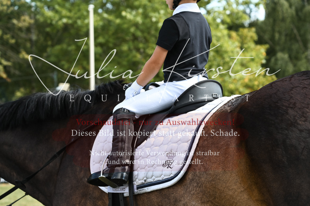 DSC_6882 | Pferde- und Turnierfotografie in Westsachsen. Pferdeportraits, Auftragszeichnungen und intuitive Kunst.