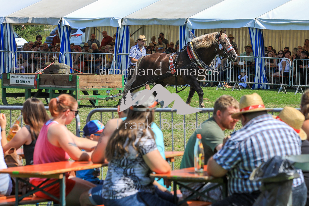 OE7A5804 | Medien- Sport- Entertainmentfotos