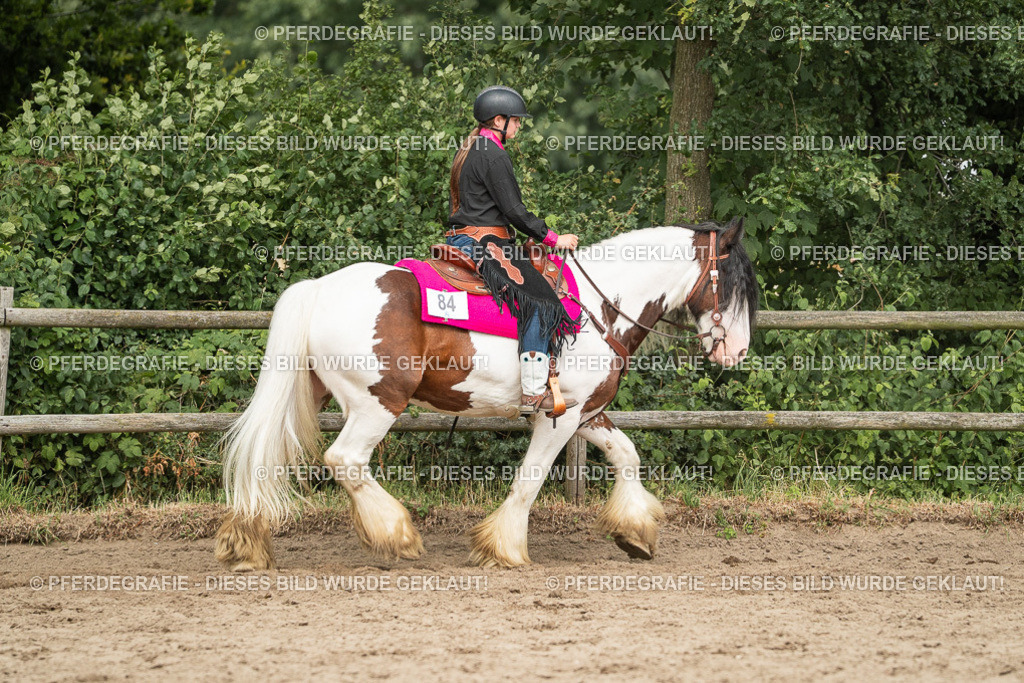 DSC03908 | Pferdegrafie