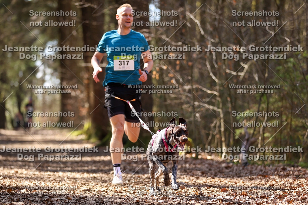 Dog Paparazzi - VCC26-1263 | Dog Paparazzi Jeanette Grottendiek Fotografie & Videografie - Realisiert mit Pictrs.com