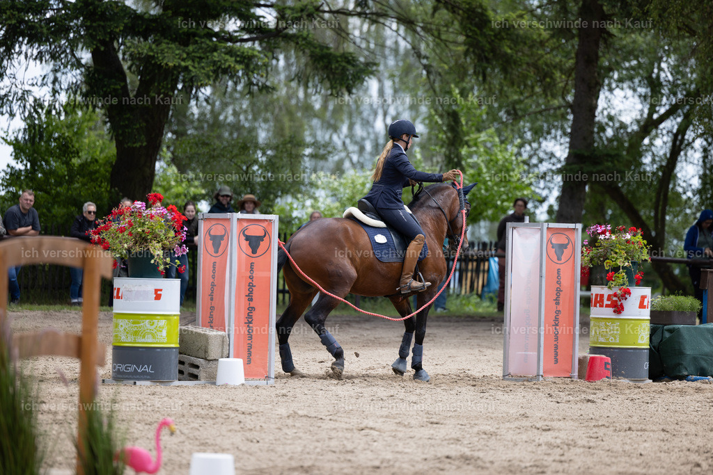 Masterclass_stoibphotography_C2_C8564.CR3 | working equitationturnier fotograf videograf stoibphotography marixx film working equitation deutschland reitsport turnierfotografie eventfotografie equestrian events