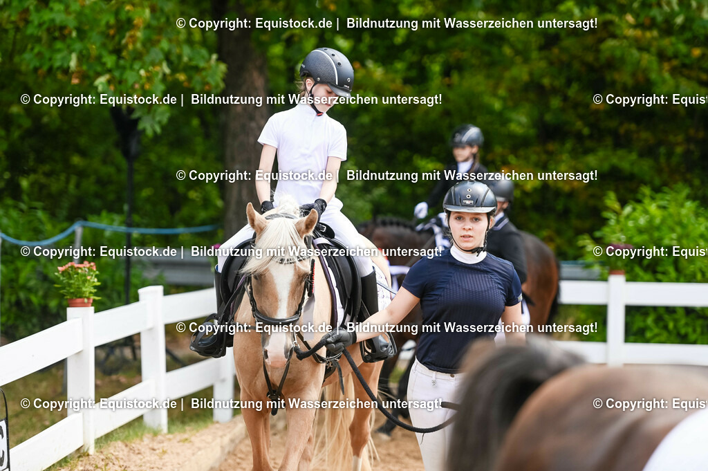 20230716_11_Führzügel-WB_0128 | equistock