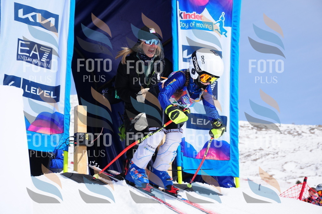 DSC_1287 | holidayphoto