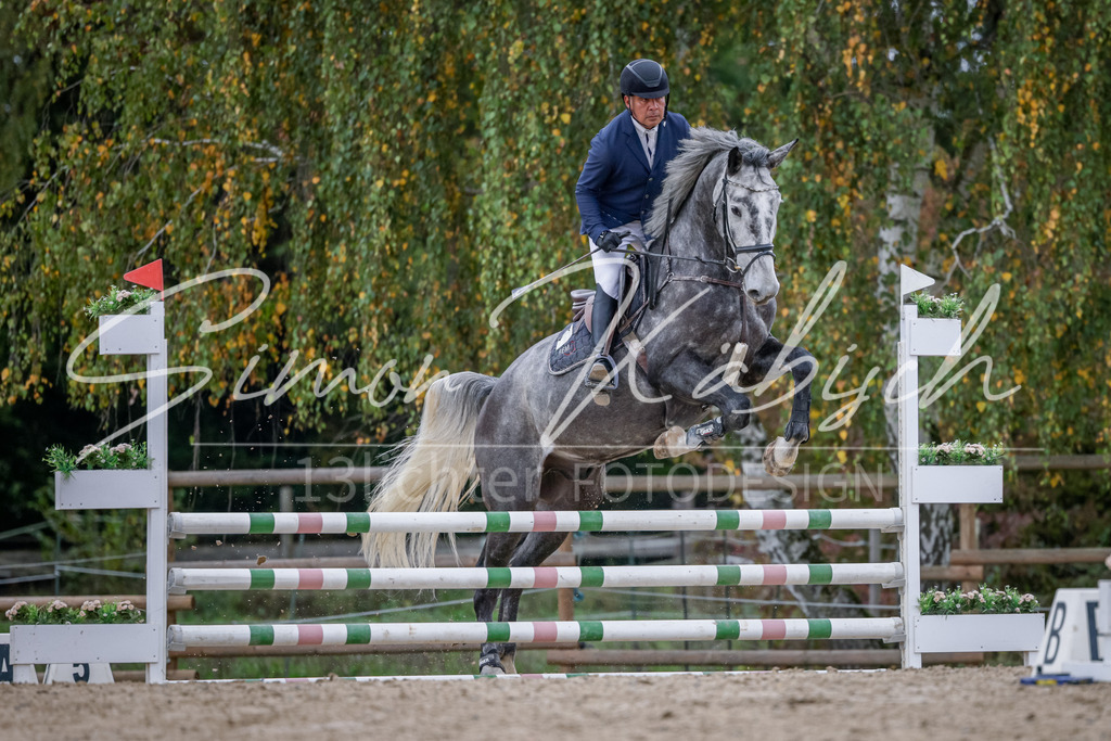 20251012-_3LI3943 | Tierfotografie Pferde, Hunde, Katzen, Haustiere.
Turnierfotografie Reitturniere, Reiten, Springreiten, Dressur in Hanau, dem Main-Kinzig-Kreis und dem Rhein-Main- Gebiet um Frankfurt
