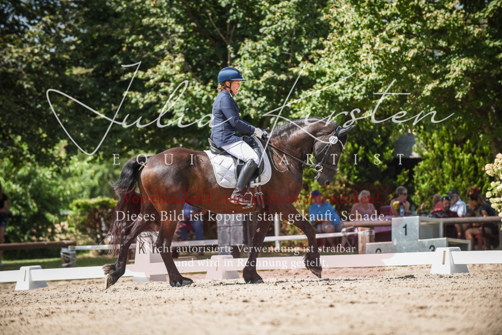 DSC_9161 | Pferde- und Turnierfotografie in Westsachsen. Pferdeportraits, Auftragszeichnungen und intuitive Kunst.