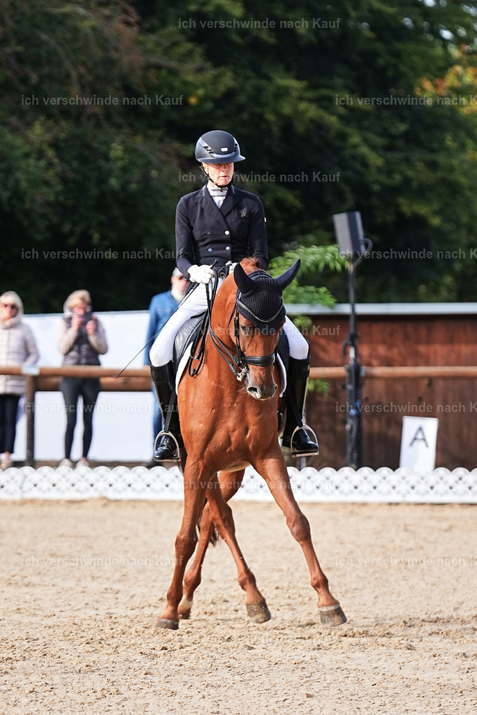 13-220-S___ -Marixx-7047 | working equitationturnier fotograf videograf stoibphotography marixx film working equitation deutschland reitsport turnierfotografie eventfotografie equestrian events