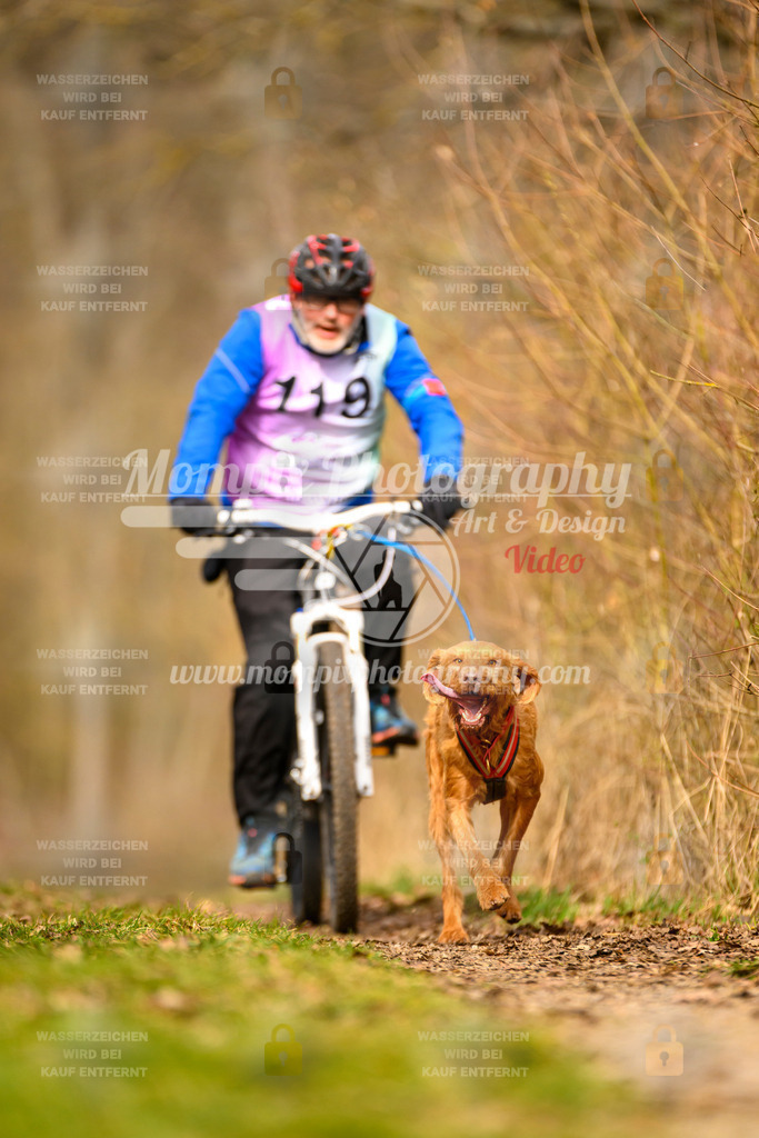 MompixPhotography_Schwabentrail2024_Bike-133 | PayLife