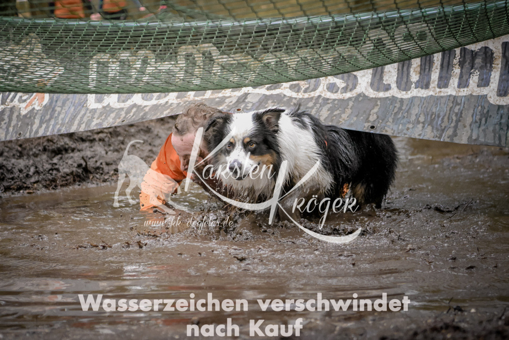 0919_ZZ97353 | kk-dogfotos