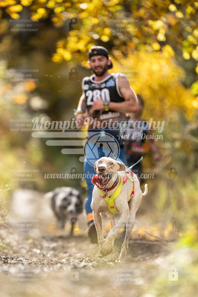 MompixPhotography_ICF_WC_2024_SA_Run_-91 | PayLife