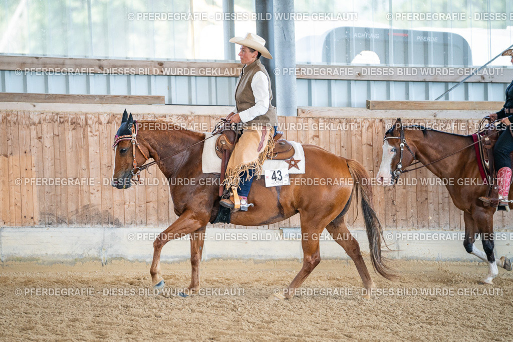 DSC03631 | Pferdegrafie