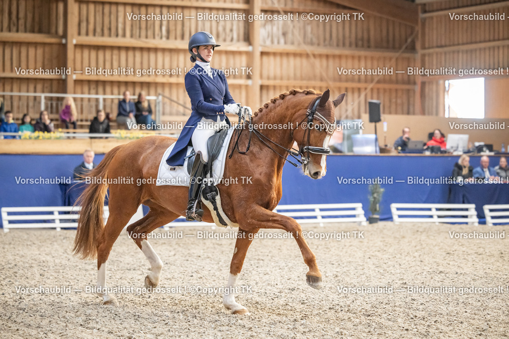 _D5A4405 | Emotionale Pferde- & People-Fotografie rund um Heidelberg, Leimen & Umgebung. Natürliche Fotos von Pferd, Mensch & Familie. Jetzt Termin sichern!