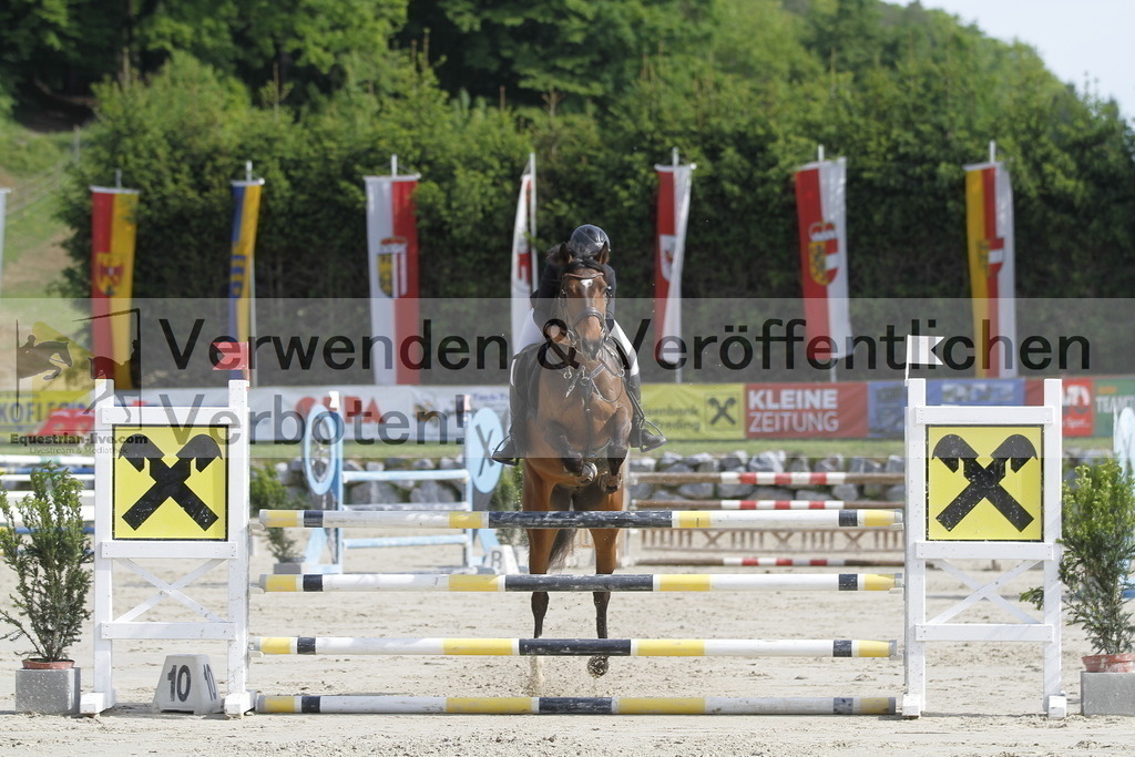 _MG_8755 | equestrian-live-com