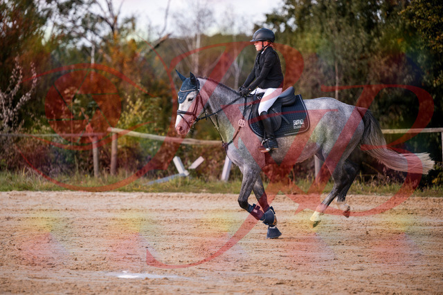 2026_10_03_Siefer-Hof_145127_Z81_30235100 | Professionelle Reitsport-, Turnier- und Eventfotografie von Robert Broda. Galerien mit ausgewählten und bearbeiteten Bildern direkt online ansehen und bestellen.