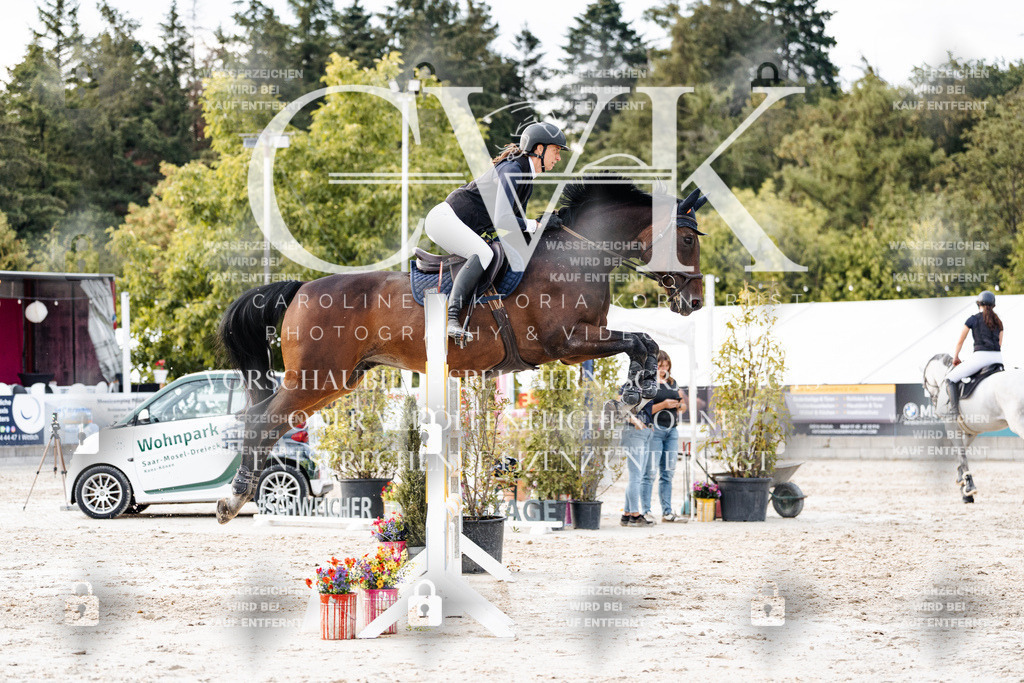 CK903997 | Turnierfotografie Pferdefotografie Trier Rheinland-Pfalz Pferdesport Reitsport Tierfotografie Sportfotografie Pferdevideo Pferdevideografie Equestrianvideography equestrianphotography  - Realisiert mit Pictrs.com