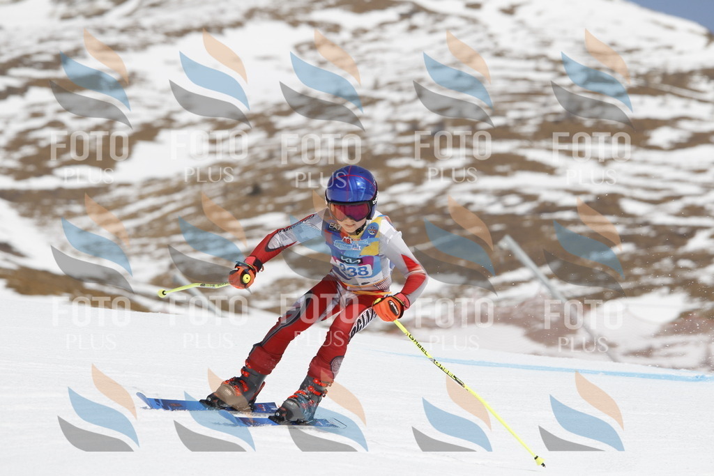 _U3G2648 | holidayphoto