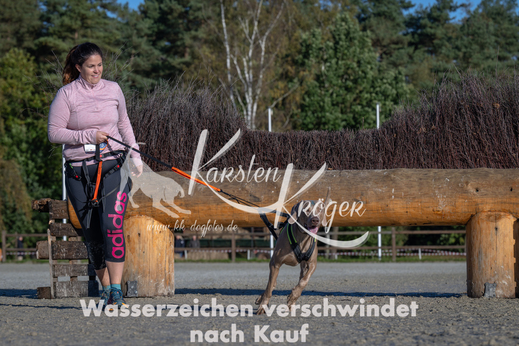 1032-_ZZ91607 | kk-dogfotos