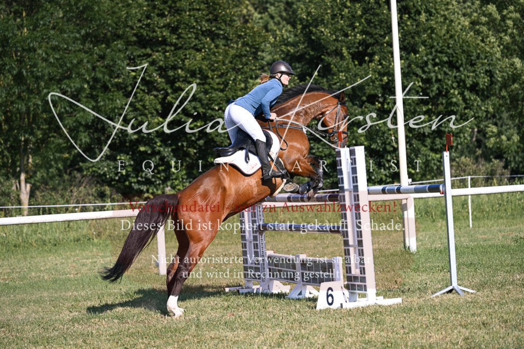 DSC_1605 | Pferde- und Turnierfotografie in Westsachsen. Pferdeportraits, Auftragszeichnungen und intuitive Kunst.