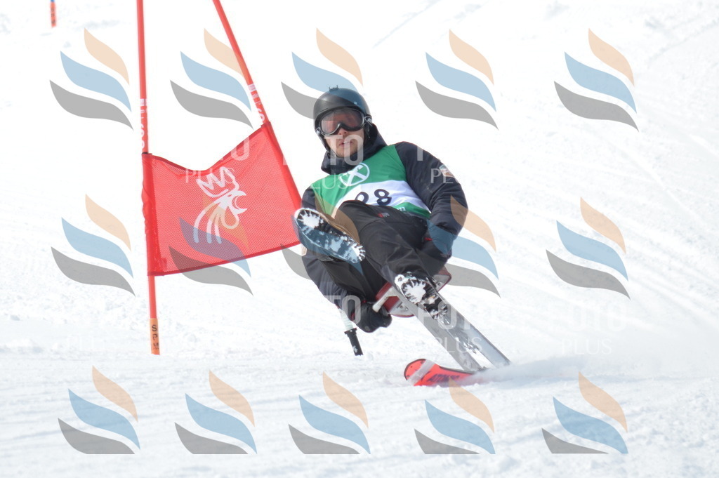 D9325 | holidayphoto