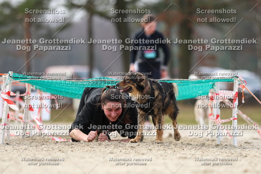 Dog Paparazzi - Strongdog North Mrz26-5197 | Dog Paparazzi Jeanette Grottendiek Fotografie & Videografie - Realisiert mit Pictrs.com
