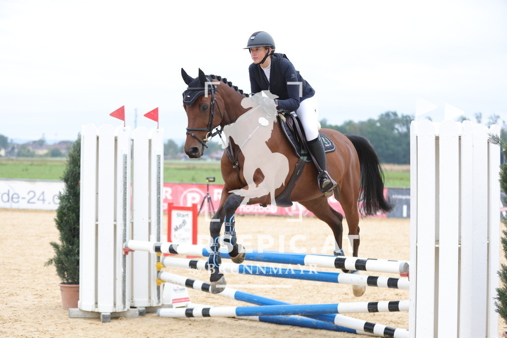 0P6A3674 | Willkommen bei Brunnmayr - Design & Fotografie – Ihrem Spezialisten für Reitturniere und Pferdeveranstaltungen in Oberösterreich, Salzburg und Bayern! Seit über 17 Jahren sind wir leidenschaftlich dabei.