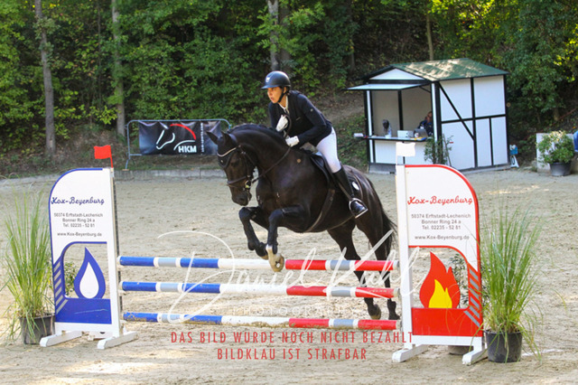 DKP42768 | Deine Turnierfotos vom Reitturnier online kaufen: Dressur, Springen & Siegerehrung. Professionelle Pferdefotografie aus dem Rheinland – als Download & Print.Alternative: Turnierfotograf für den Pferdesport: Finde deine Fotos von Dressur- und Springturnier