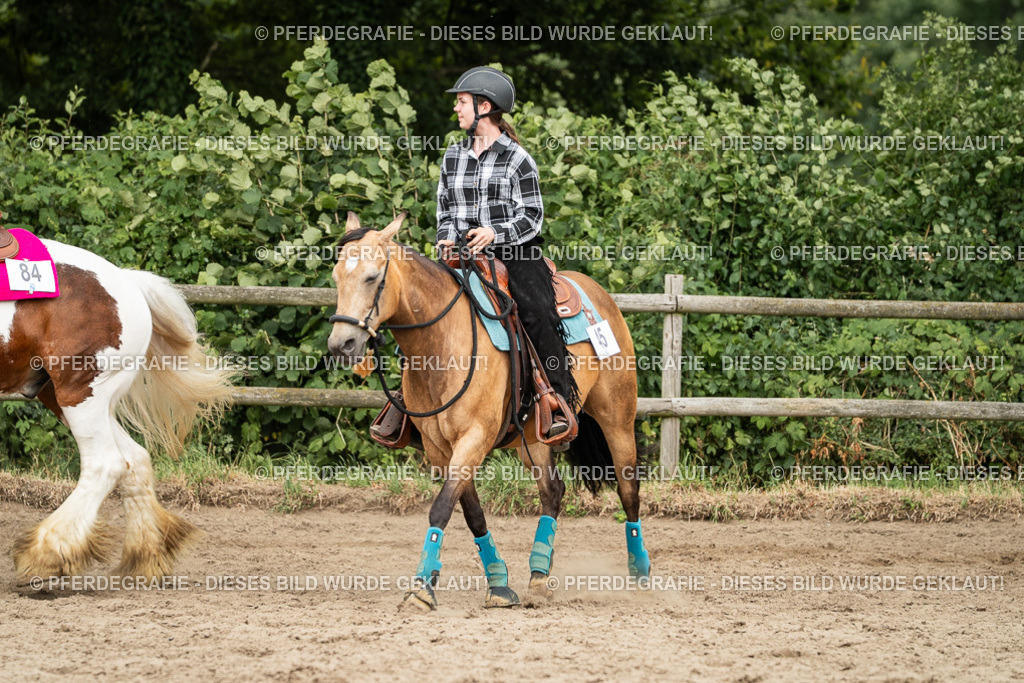 DSC03786 | Pferdegrafie