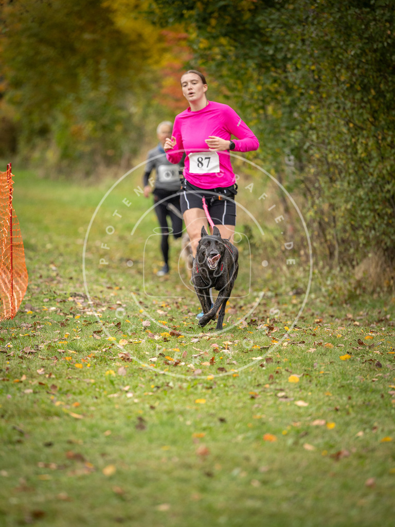 Pfotenfotografie_DV3A3196 | Hundefotografie, Tierfotograf, Pfotenfotografie, Fotoshooting Hund, Hunde Portrait, Hundesport, Hundeportraits, Heideshooting, Hunde, Sportfotograf, Hundefotograf, Turnierhundsport, THS,  - Realisiert mit Pictrs.com