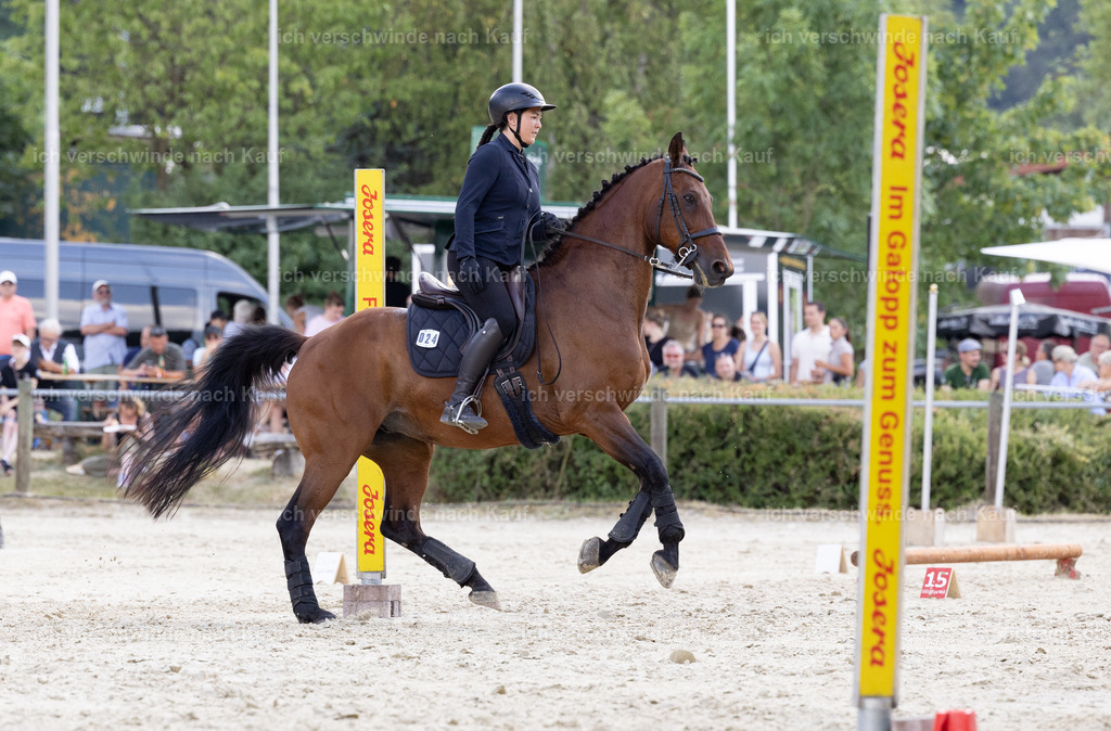 WS_SPEED_24_KerstinBernhardt | working equitationturnier fotograf videograf stoibphotography marixx film working equitation deutschland reitsport turnierfotografie eventfotografie equestrian events