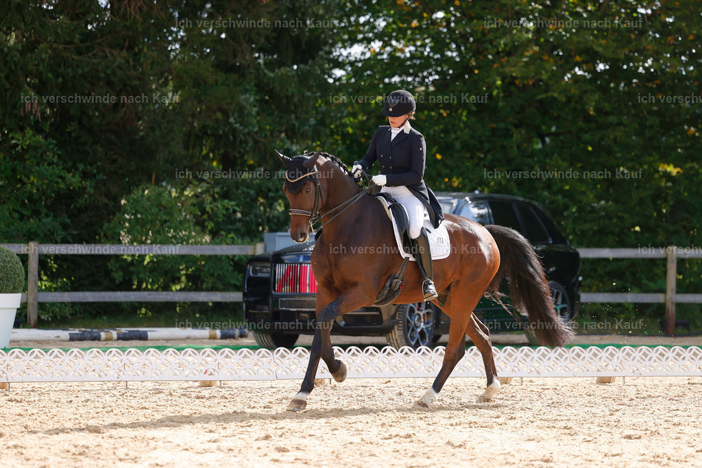 09_2-174-DRESSUR  S_  -StoibPH-5782 | working equitationturnier fotograf videograf stoibphotography marixx film working equitation deutschland reitsport turnierfotografie eventfotografie equestrian events