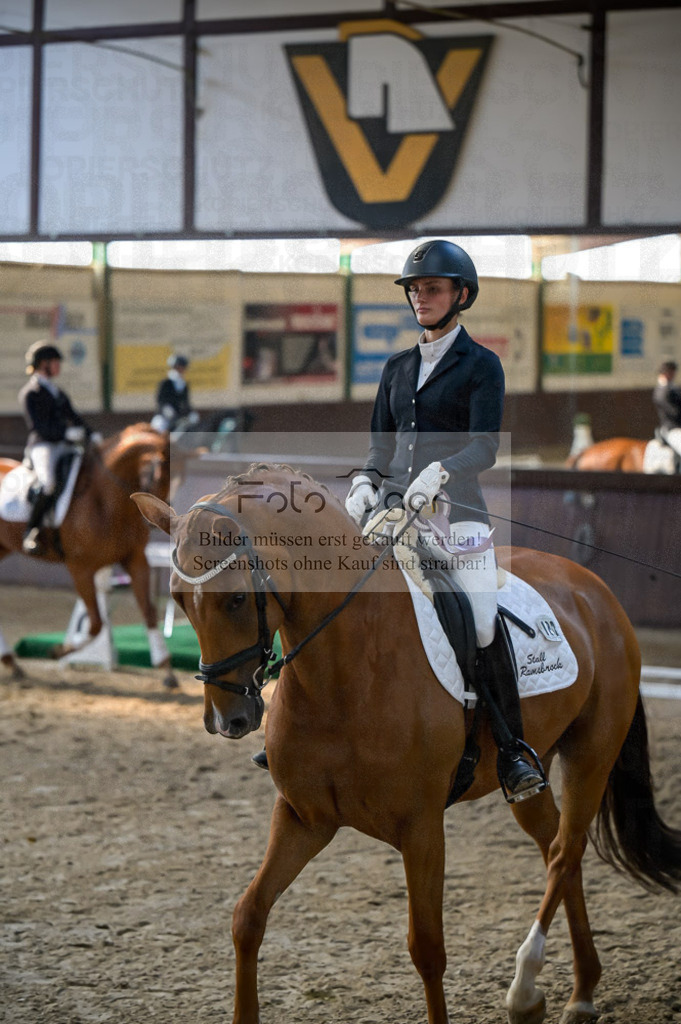 Reitturnier Voxtrup | Entdecke hochwertige Reitturnierfotos von Foto Oger. Professionell, emotional und authentisch – jetzt Lieblingsmomente im Shop bestellen.Deutschlandweite Turnierfotografie. - Realisiert mit Pictrs.com
