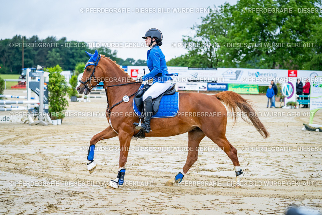 DSC01048 | Pferdegrafie