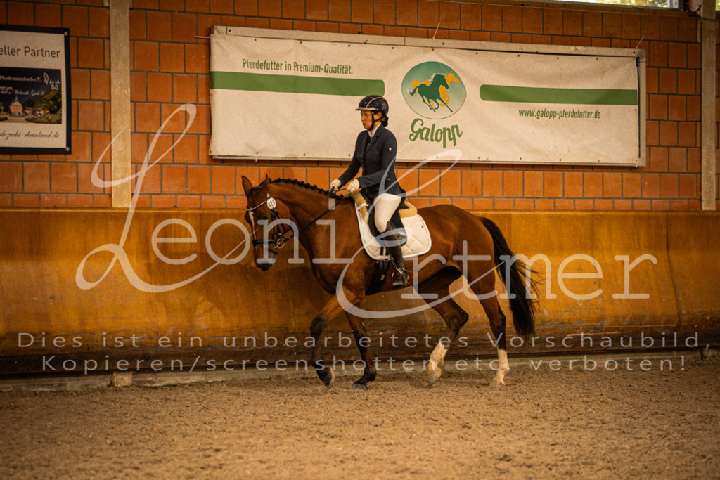 2Reiten00361 | Leoni Ertmer Photography - Realisiert mit Pictrs.com