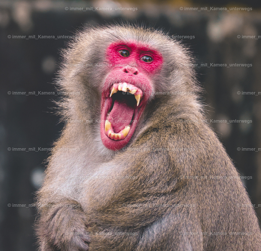 N39A6035 (3) | immer_mit_kamera_unterwegs