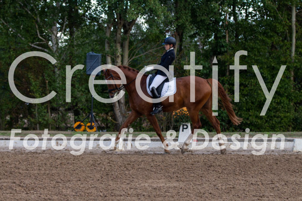 IMG_4161 | Creatify Fotografie