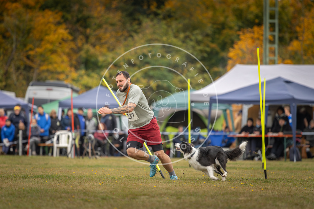 Pfotenfotografie_DV3A5291 | Hundefotografie, Tierfotograf, Pfotenfotografie, Fotoshooting Hund, Hunde Portrait, Hundesport, Hundeportraits, Heideshooting, Hunde, Sportfotograf, Hundefotograf, Turnierhundsport, THS,  - Realisiert mit Pictrs.com