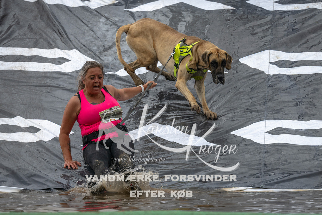 1606_ZZ92304 | kk-dogfotos