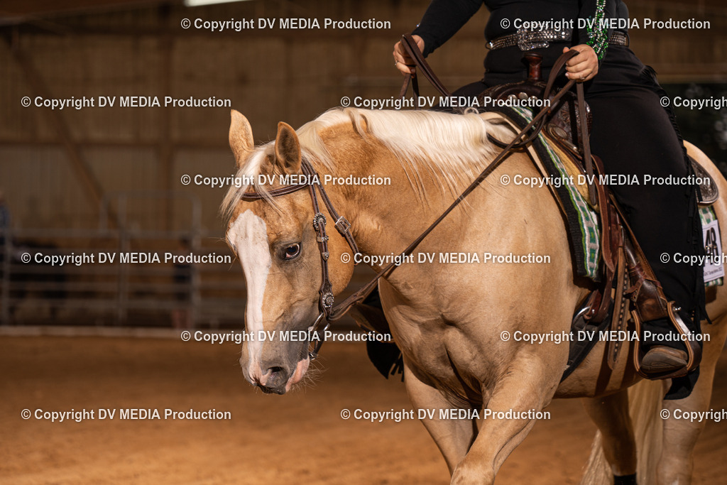 NID01096 | dv-media-shop - Realisiert mit Pictrs.com