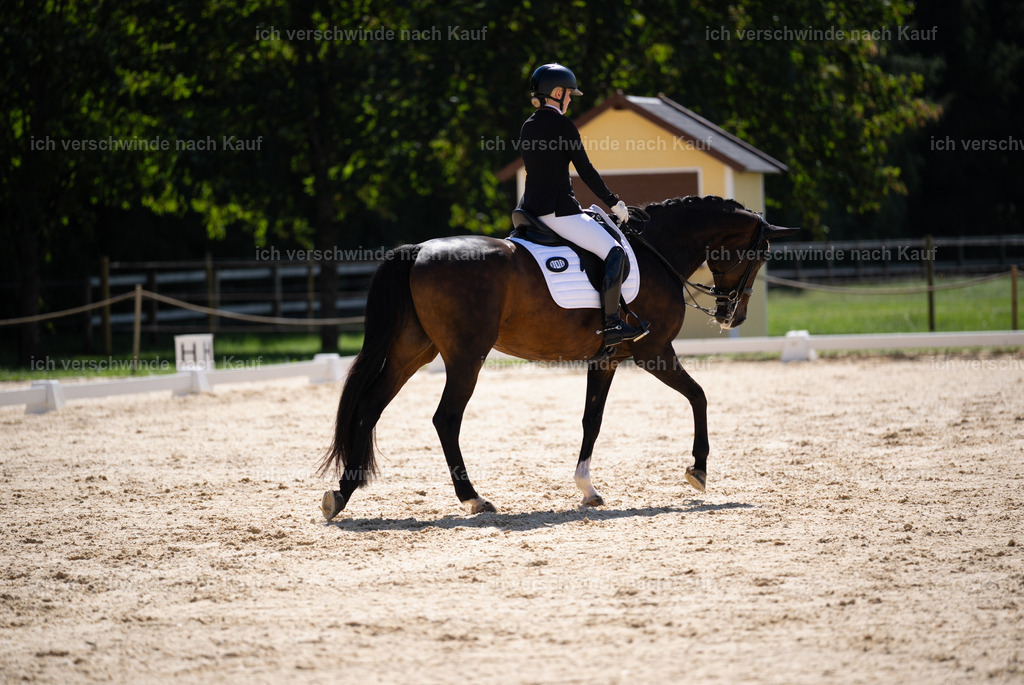 FHC2026_P02_86_14184 | Fichtenhof Classics 2026 – Dressurturnier, Reitanlage Fichtenhof, Schäftlarn